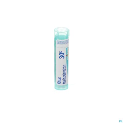 Rhus toxicodendron 30k gr 4g boiron