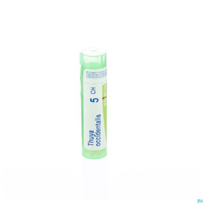 Thuya occidentalis 5ch gr 4g boiron-2