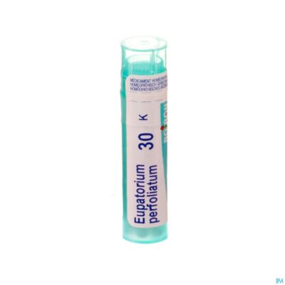 Eupatorium perfoliatum 30k gr 4g boiron