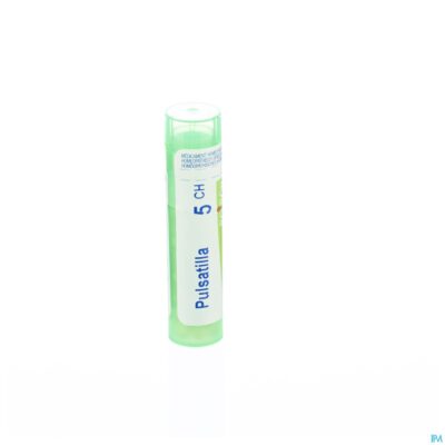 Pulsatilla 5ch gr 4g boiron-3