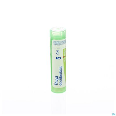 Thuya occidentalis 5ch gr 4g boiron