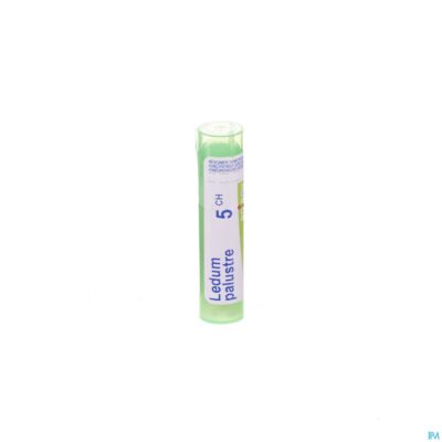 Ledum palustre 5ch gr 4g boiron-2