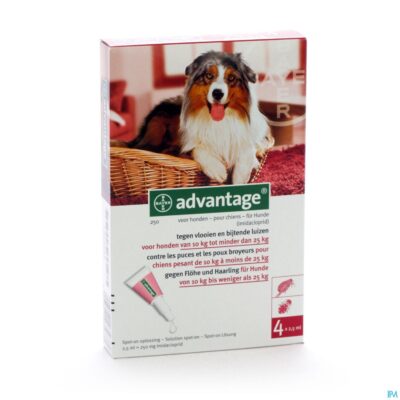 Advantage 250 honden 10<25kg 4x2,5ml-2
