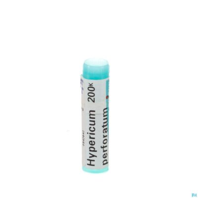 Hypericum perforatum 200k gl boiron-2