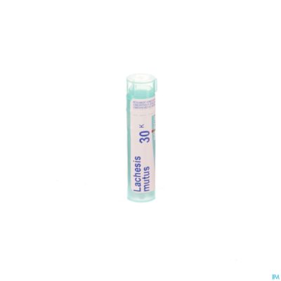 Lachesis mutus 30k gr 4g boiron