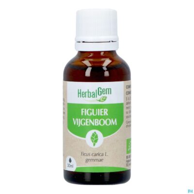 Herbalgem vijgenboom bio 30ml-2