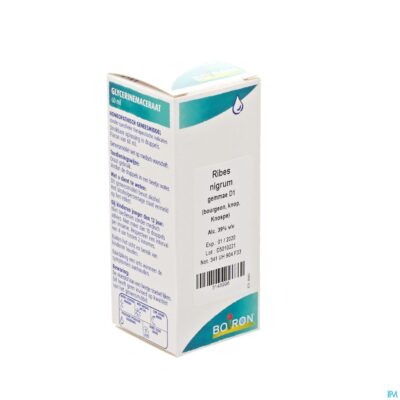 Ribes nigrum gemmo d1 60ml boiron