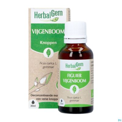 Herbalgem vijgenboom bio 30ml-3