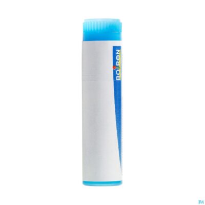 Arnica montana mk gl boiron