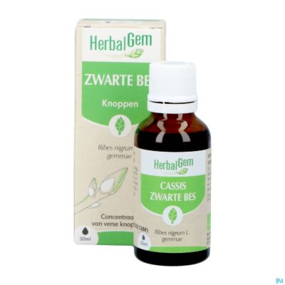 Herbalgem zwarte bes bio 30ml-3
