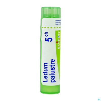 Ledum palustre 5ch gr 4g boiron