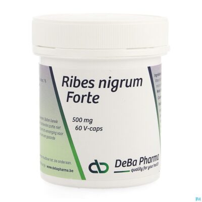 Ribes nigrum v-caps 60 deba-2
