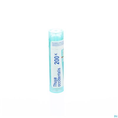 Thuya occidentalis 200k gr 4g boiron-2