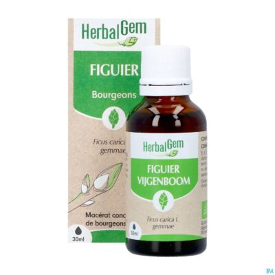 Herbalgem vijgenboom bio 30ml-4