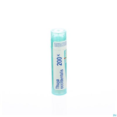 Thuya occidentalis 200k gr 4g boiron