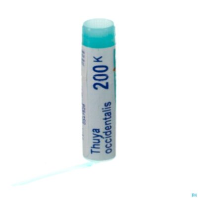 Thuya occidentalis 200k gl boiron-3