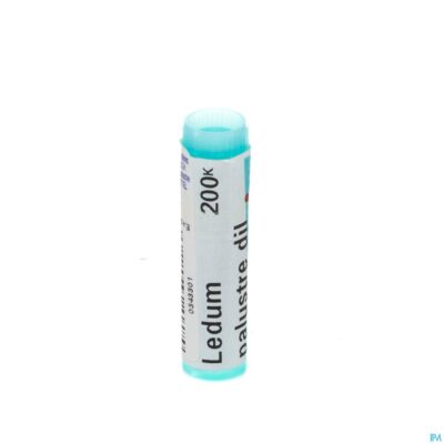 Ledum palustre 200k gl boiron-2